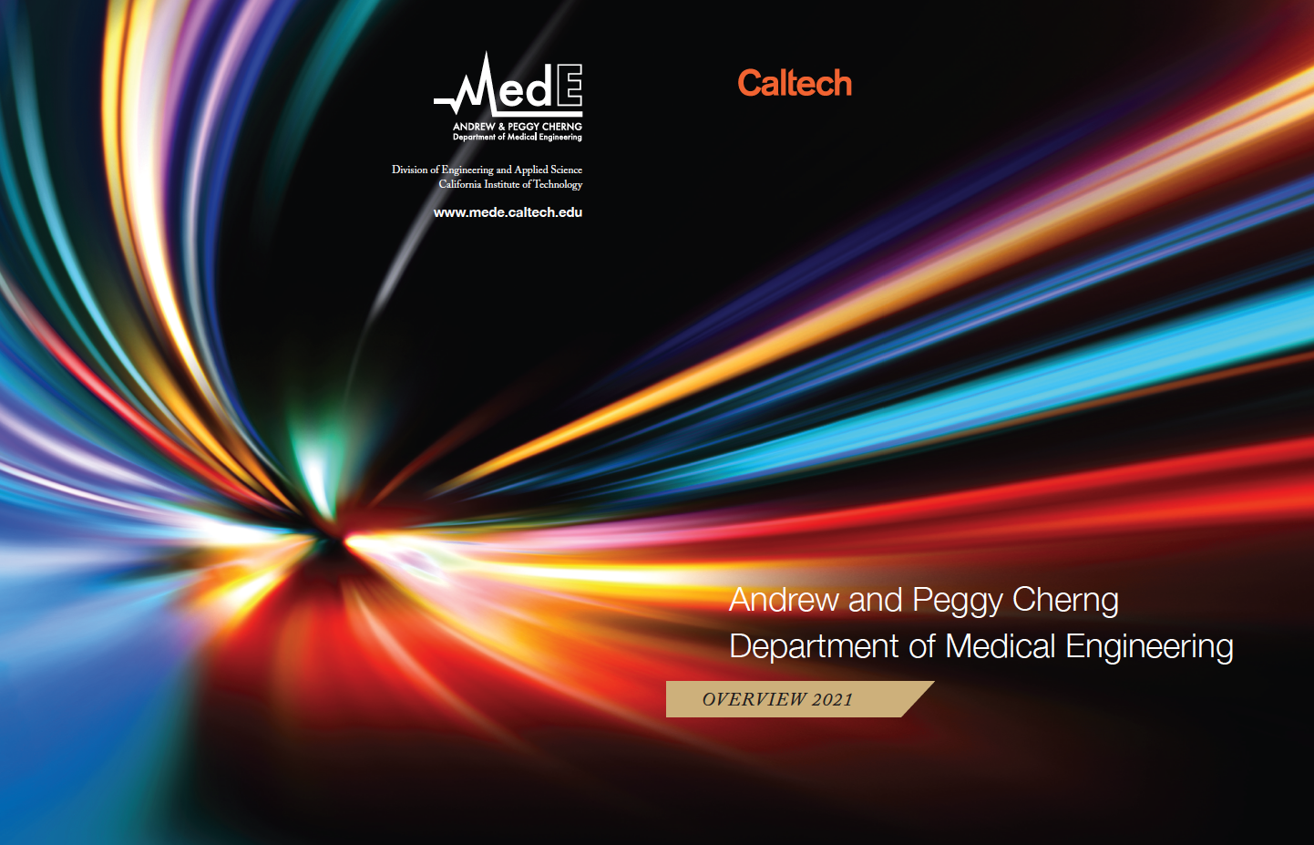 Andrew and Peggy Cherng Medical Engineering report